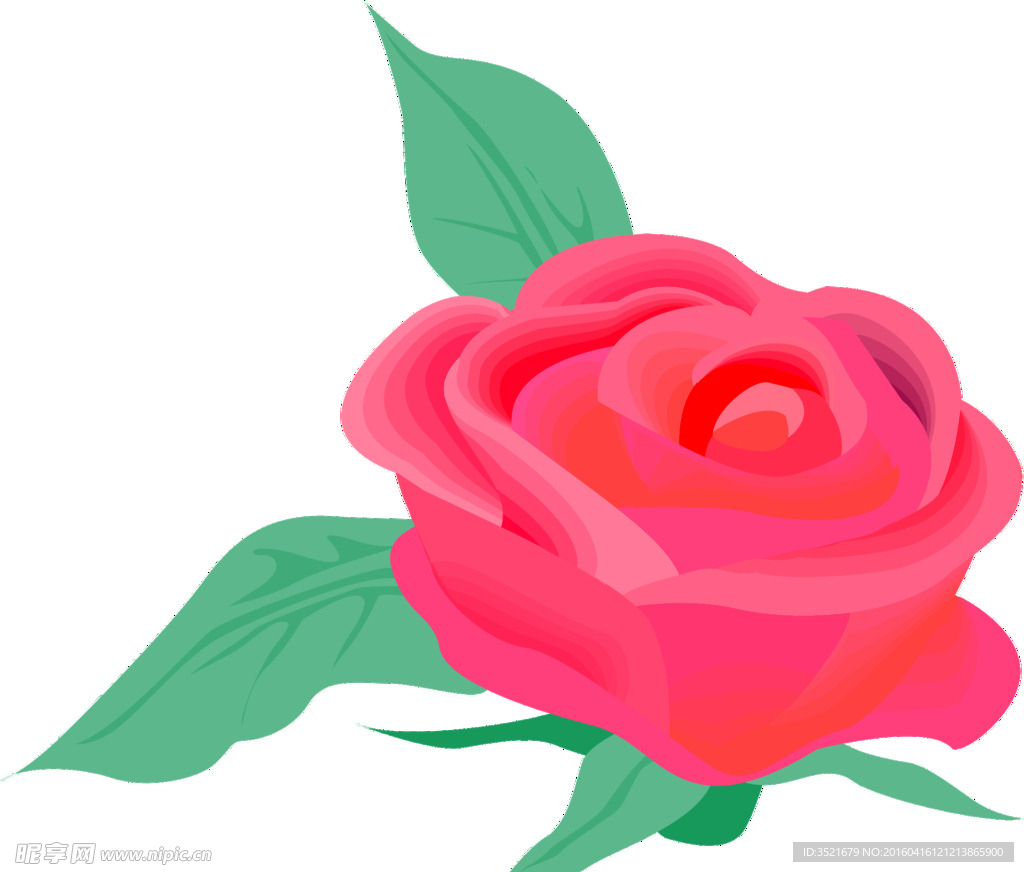 玫瑰花 红色