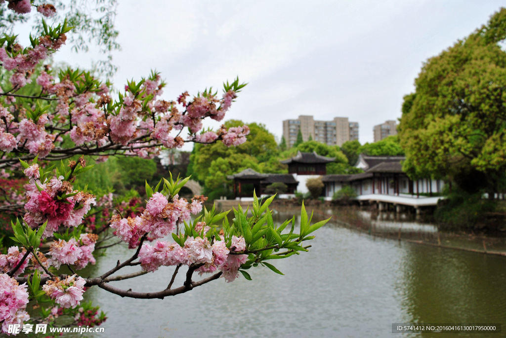 南园美景