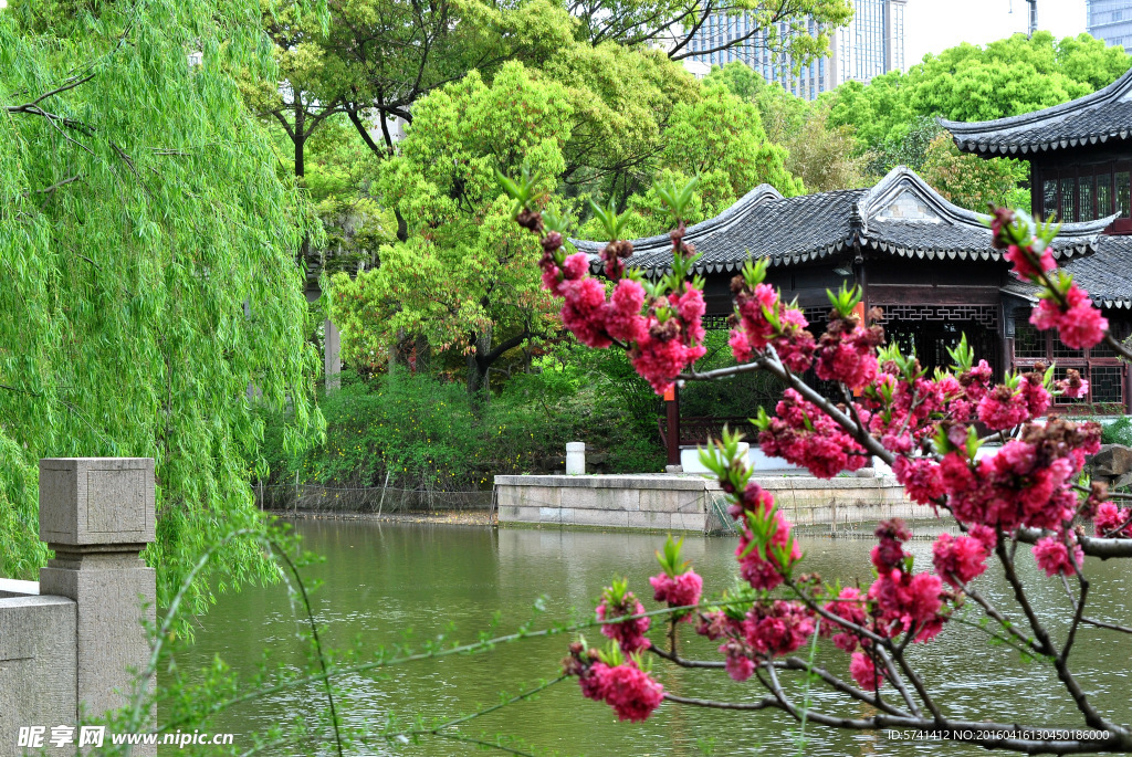 南园美景