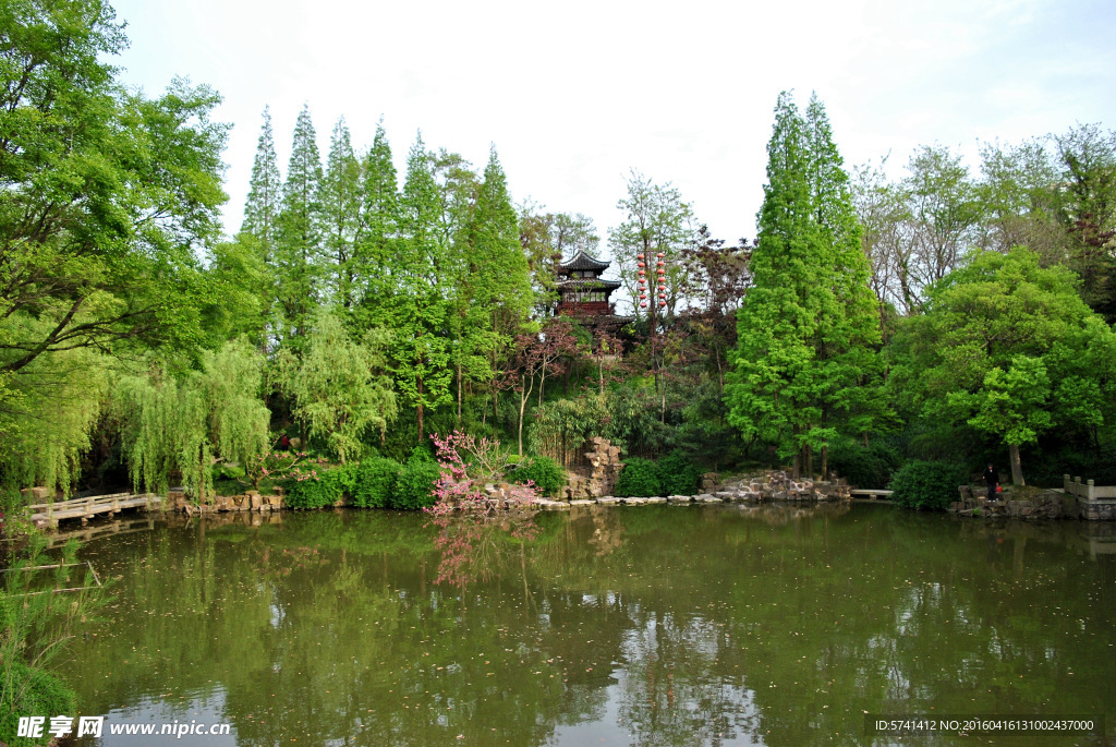 南园美景