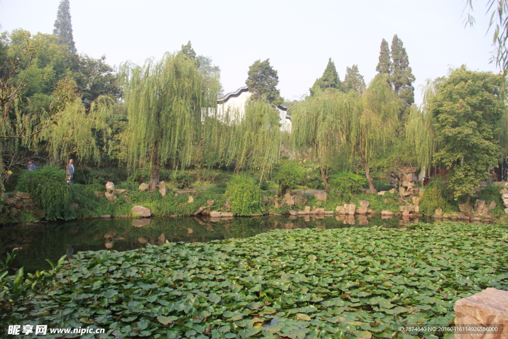瘦西湖