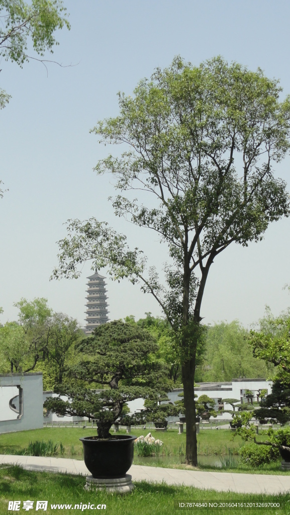 瘦西湖