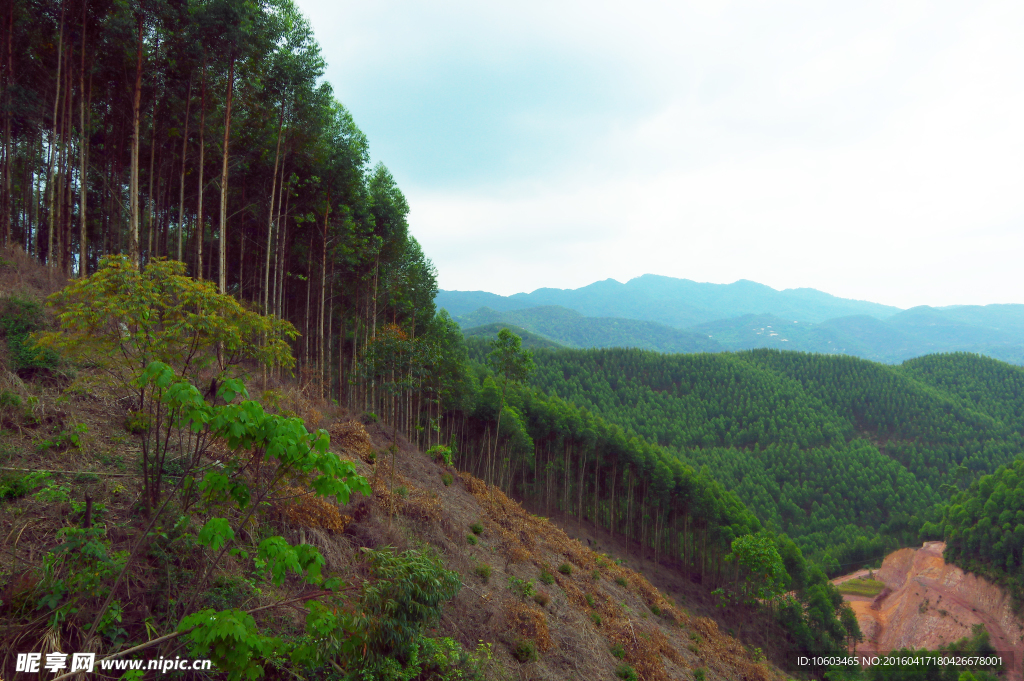 中国山水 青山绿化