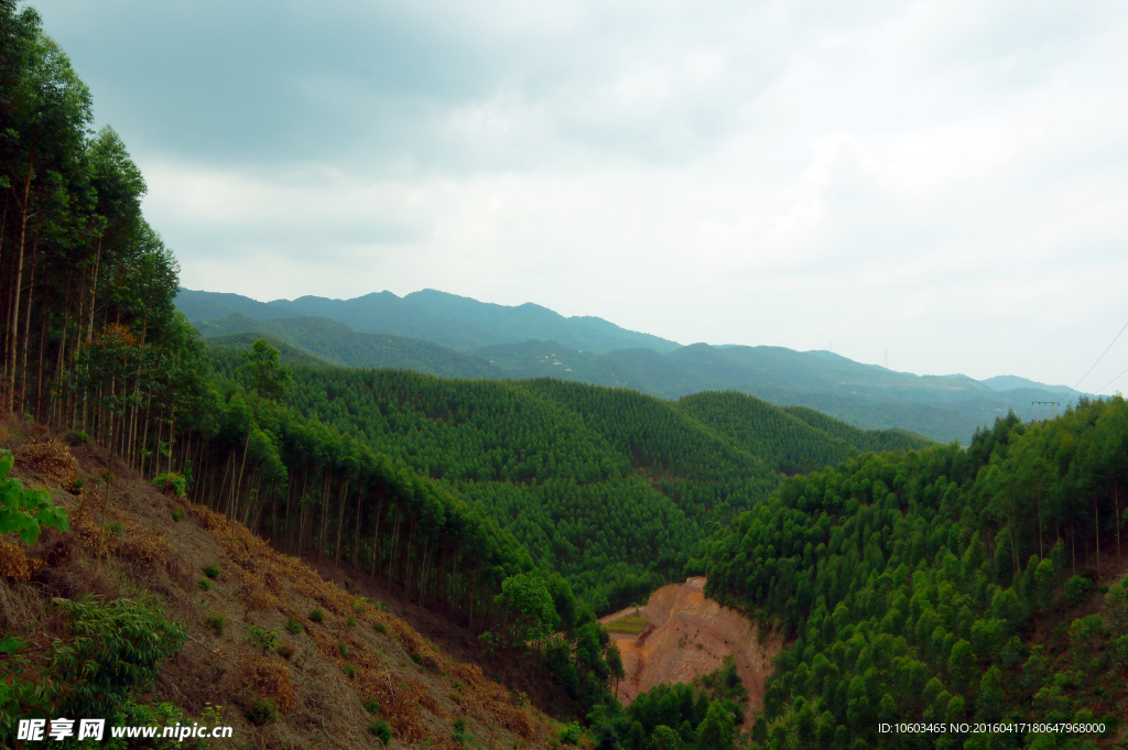 大山森林 青山绿化