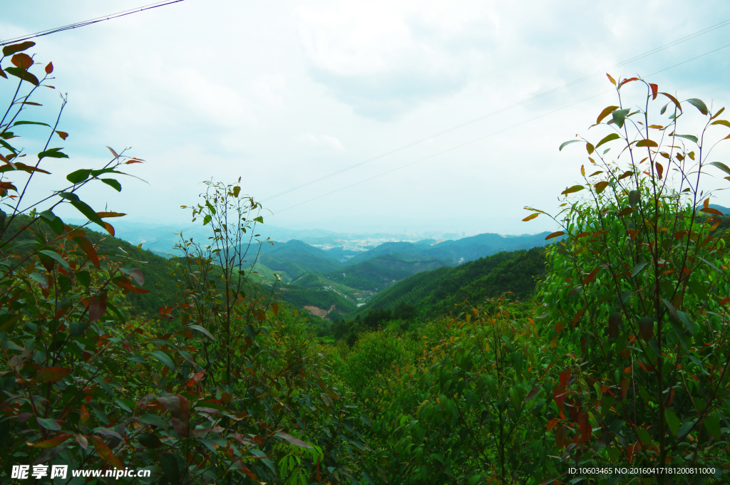 中国山水 山岚重重