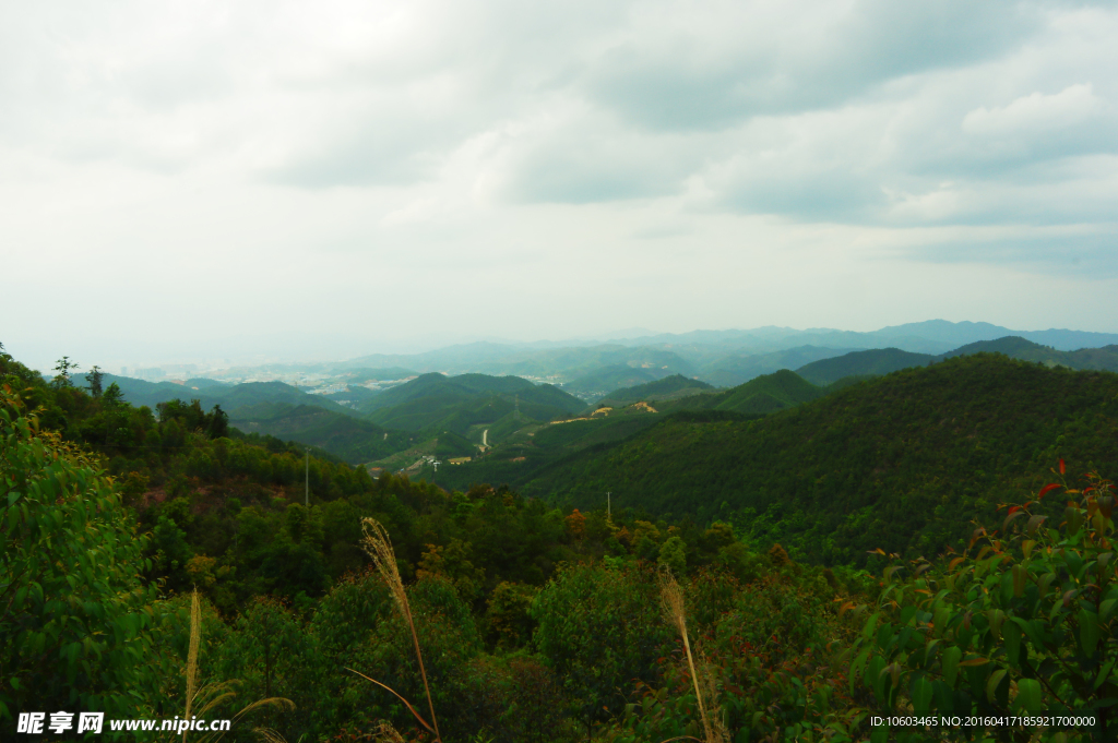 城区山水 青山绿化