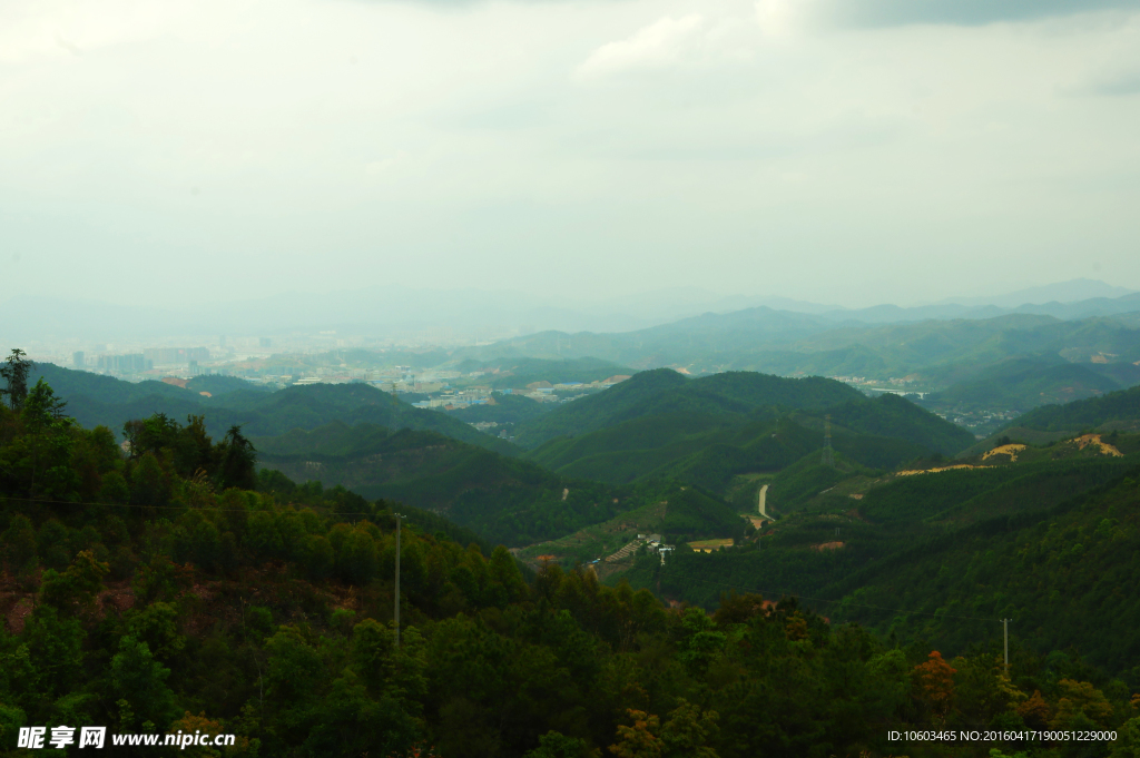 城区山水 森林绿化