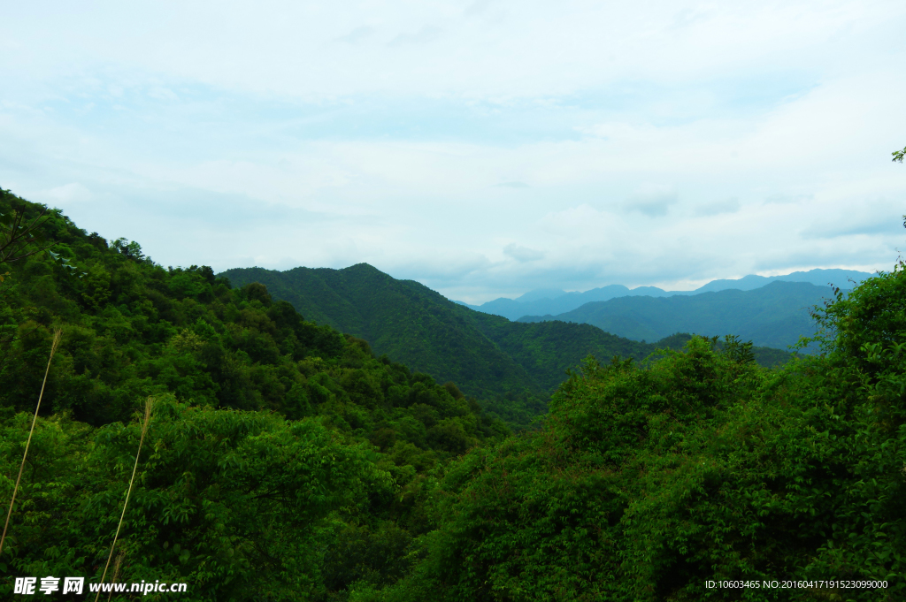 大山森林 梅州山水