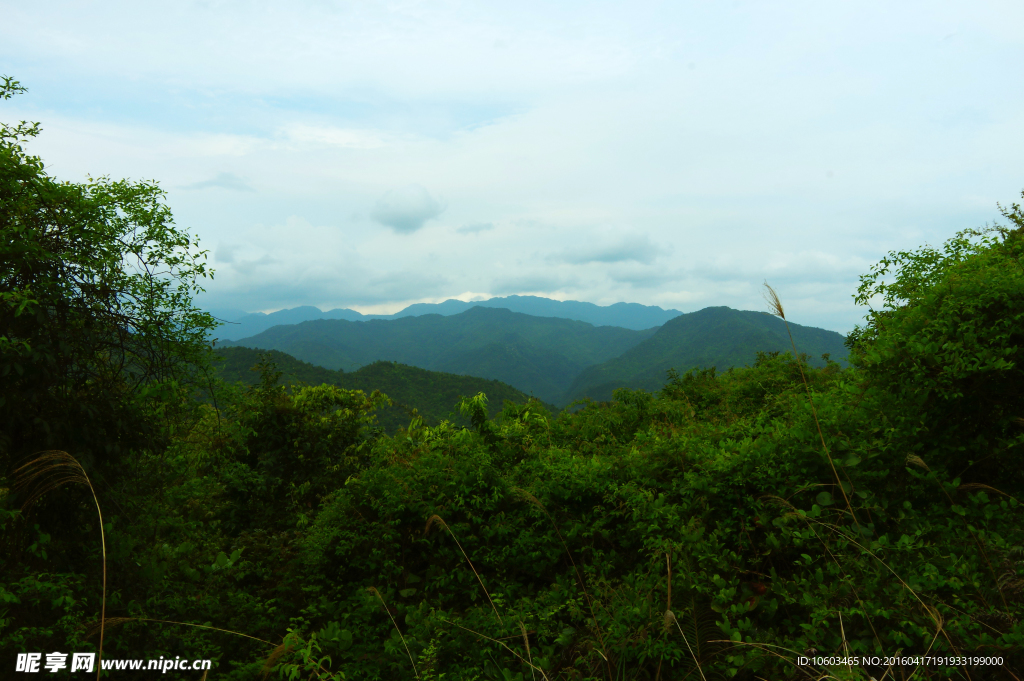 梅州山水 大山森林