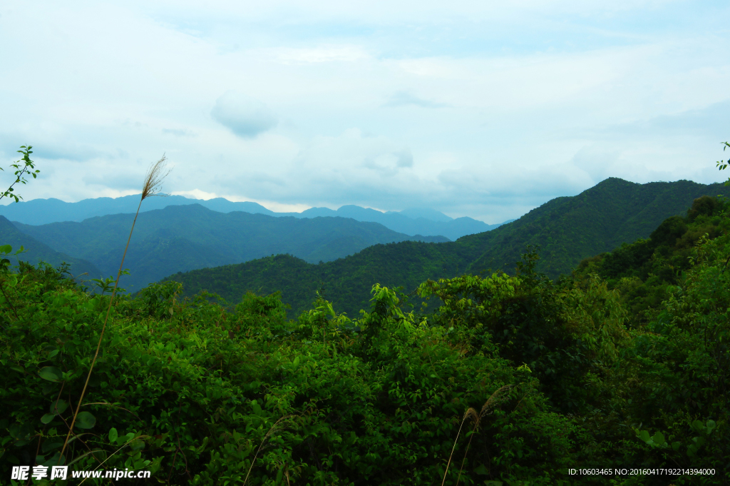 大山森林 梅州山水