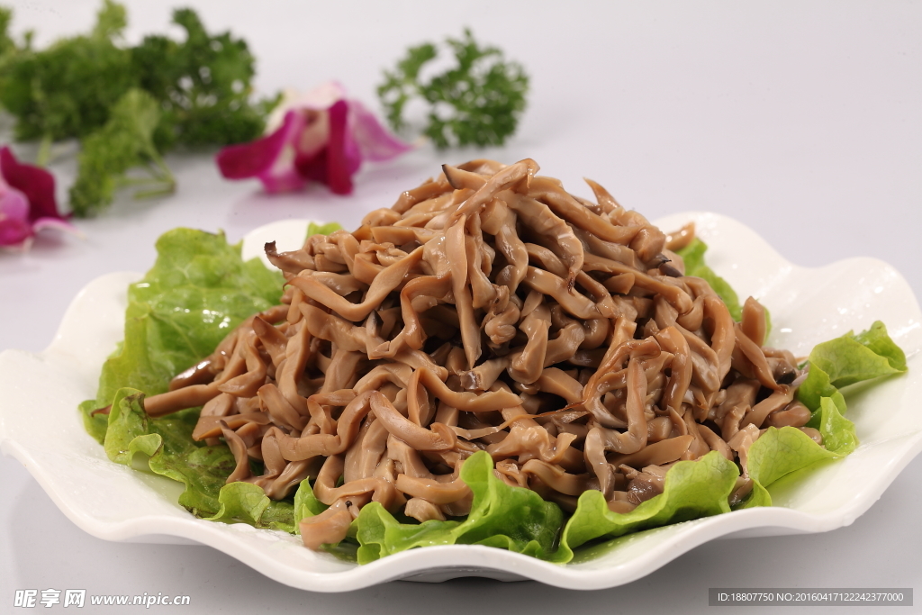 云丰鲍鱼菇