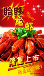 龙虾海报