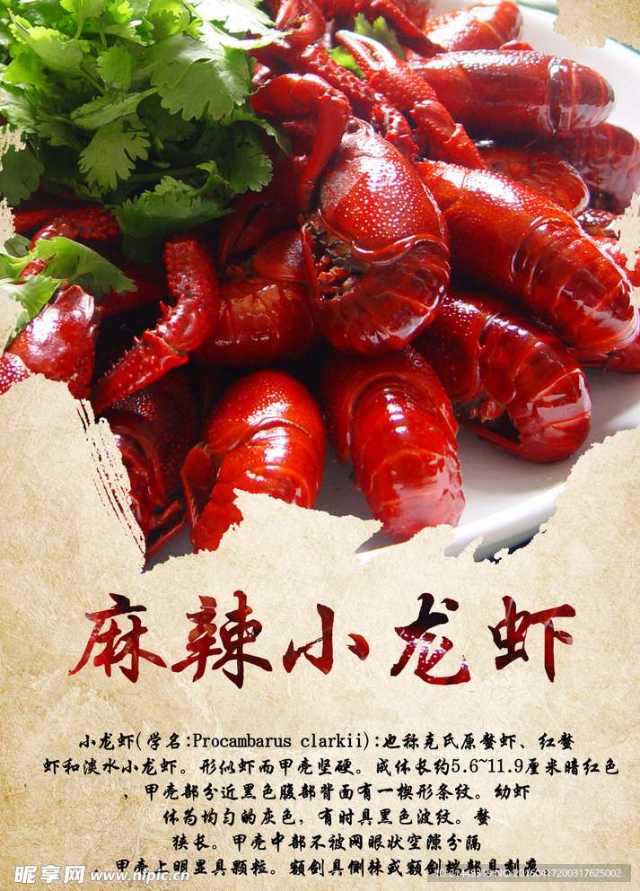 麻辣龙虾
