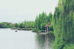 城市湖泊