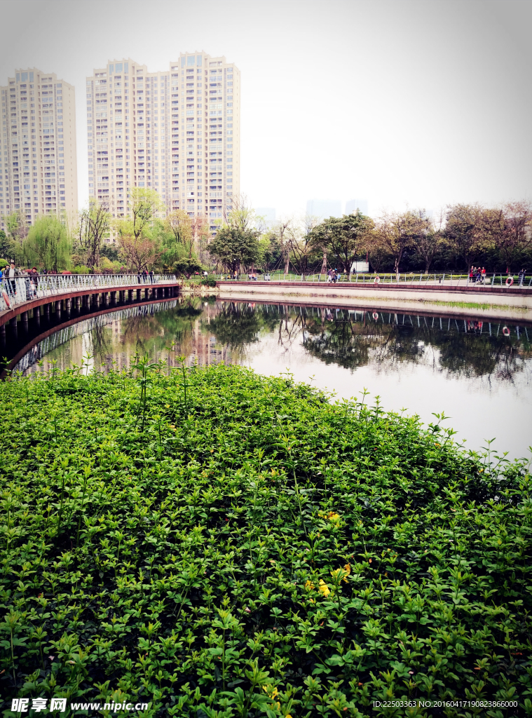 城市园林