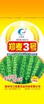 小麦种子包装