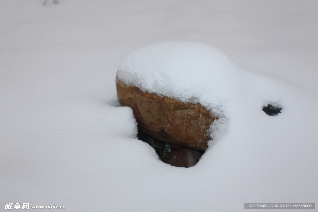 雪