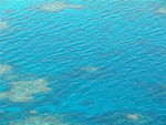 海水