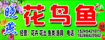 花鸟鱼行门头