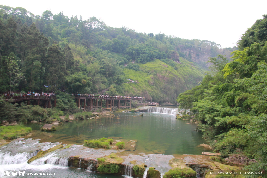 黄果树