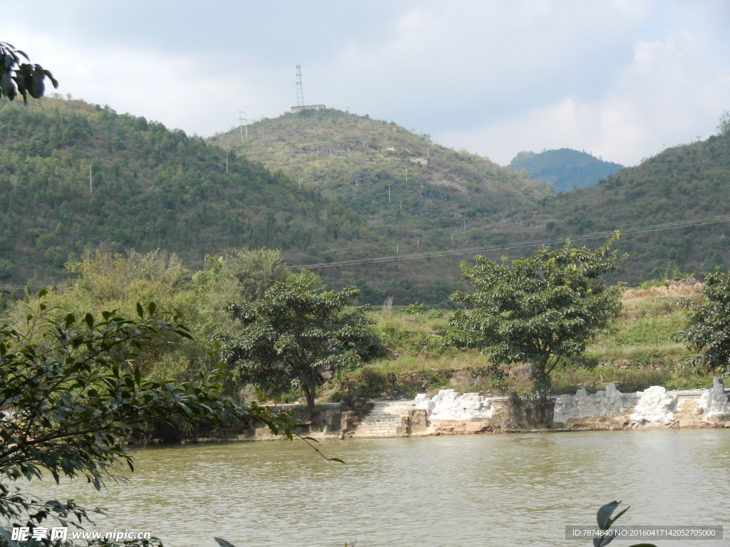 黄果树
