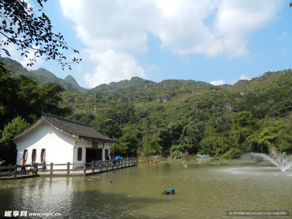 黄果树