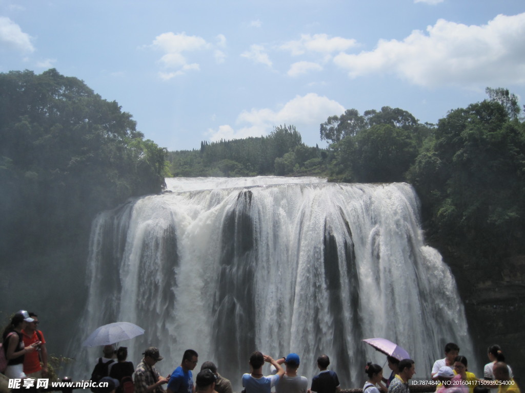 黄果树
