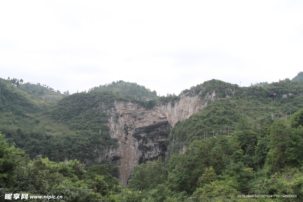 黄果树