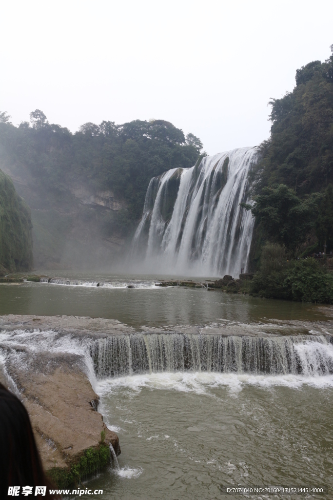 黄果树