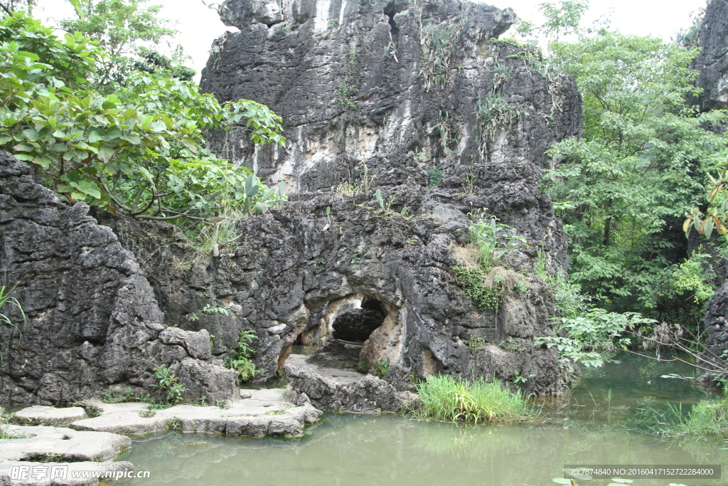 黄果树