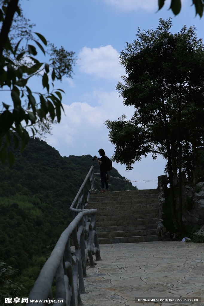 黄果树