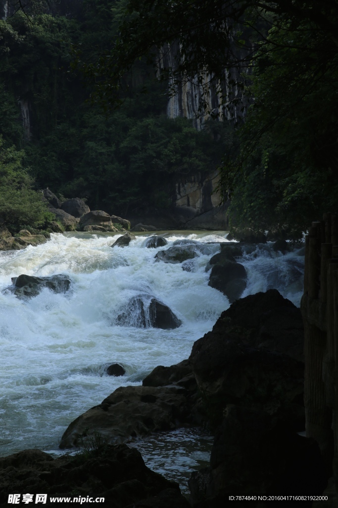 黄果树