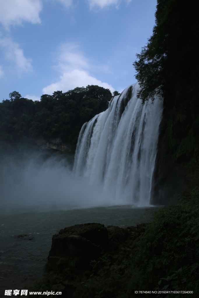 黄果树