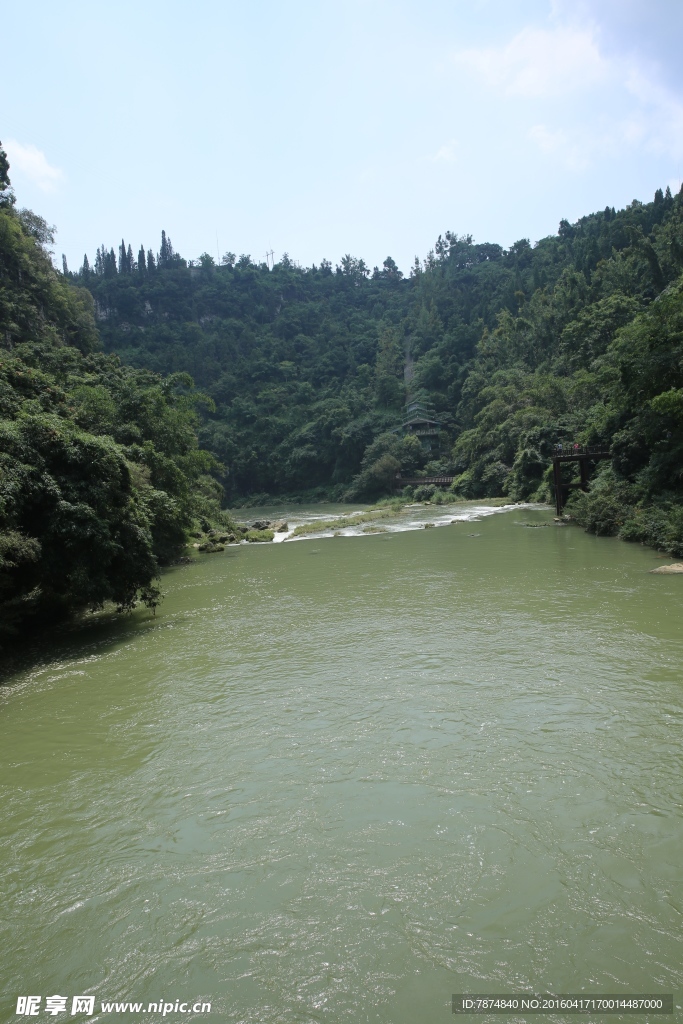 黄果树