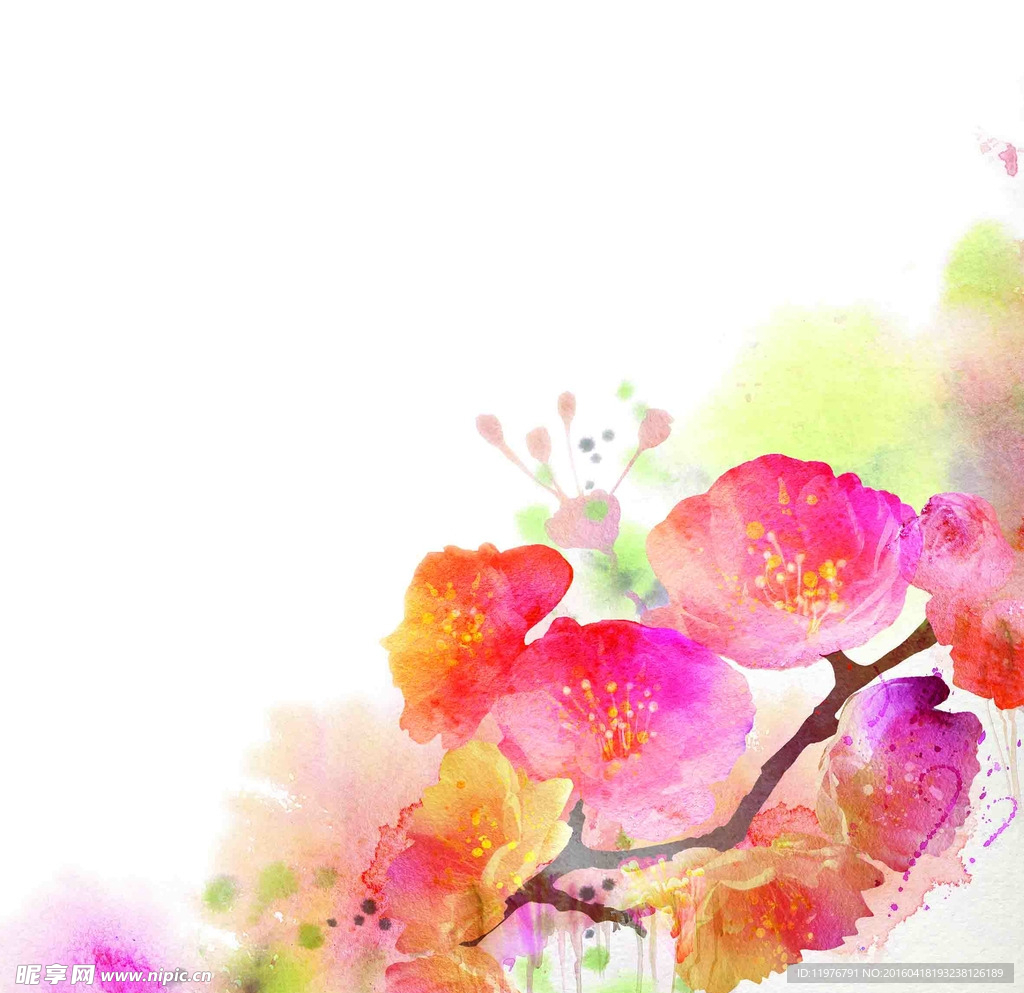 花卉油画