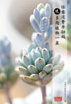 香港广场三八妇女节活动