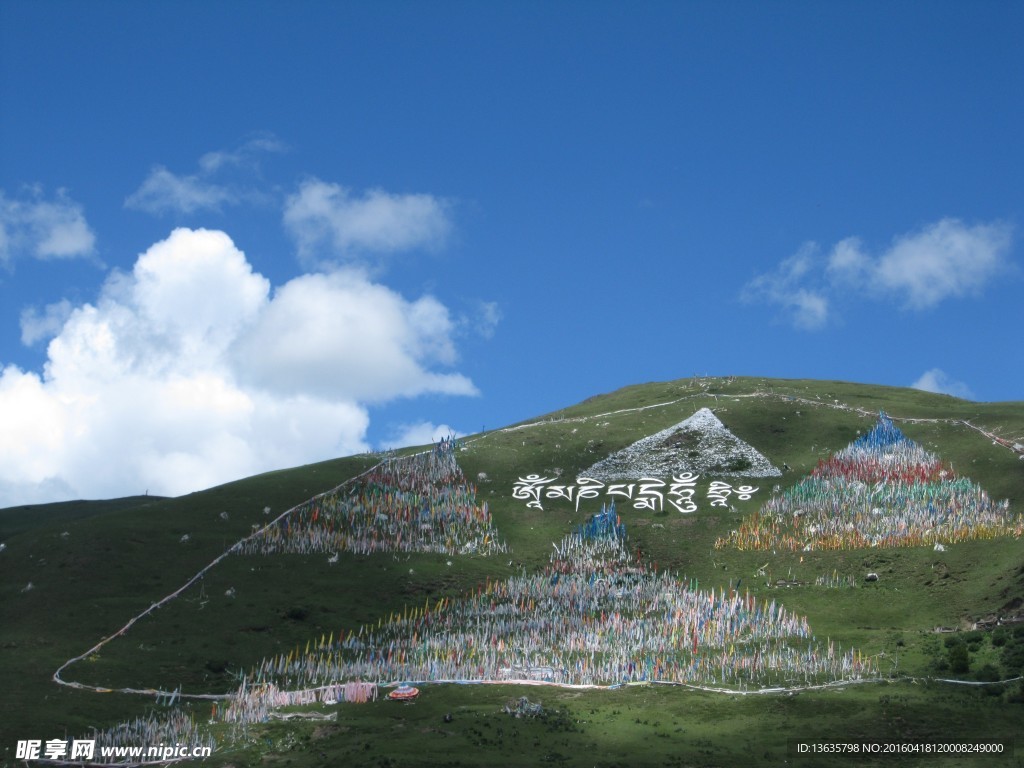 草原
