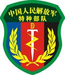 中国人民解放军特种部队标志