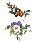 鲜花花束 花藤