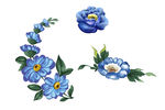 蓝色花朵花藤