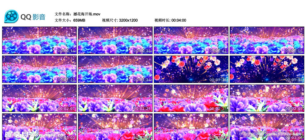 震撼花海开场