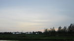 田野