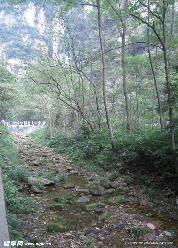 湖南张家界山水风景