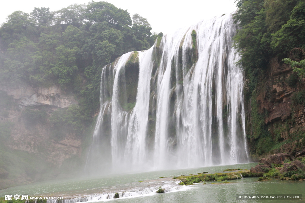 黄果树