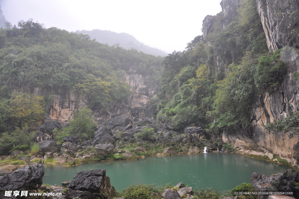 黄果树