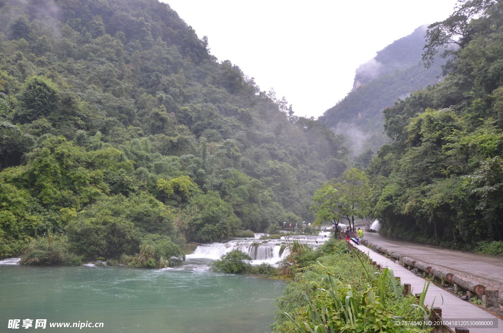 黄果树