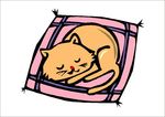卡通猫