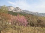 嵩山春光