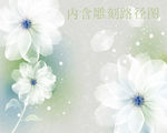 简约梦幻白色花朵背景墙