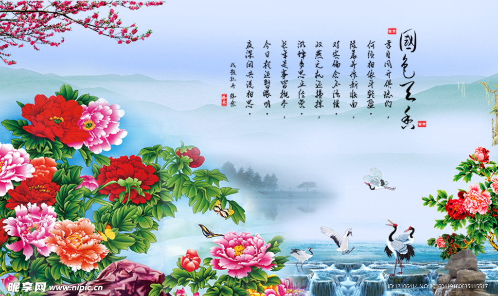 牡丹花